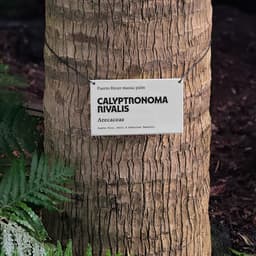 Renewing A New York Institution cover image