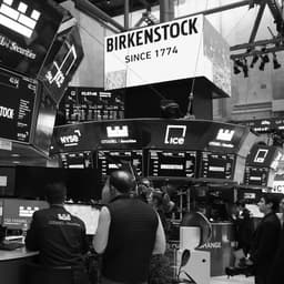 Birkenstock 250 Years Ipo cover image