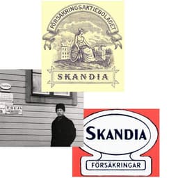 Repositioning Skandia For A Modern Market cover image