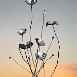 Revolutionising Beauty Through Biotech cover image