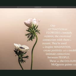 Transforming The Art Of Floristry cover image