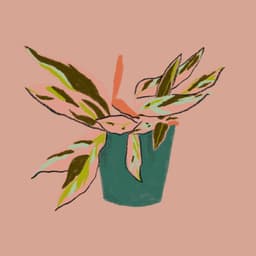 An Inviting New Identity For Housing Giant Quintoandar cover image