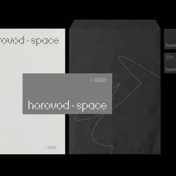 Creating A Visual Language For Horovod.space cover image