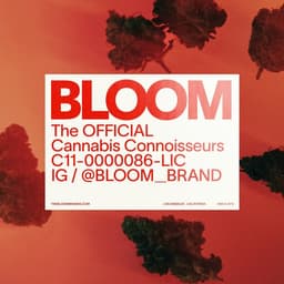 Evolving Bloom's Brand Identity For Cannabis Connoisseurs cover image
