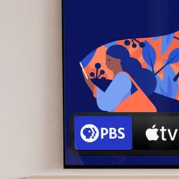 Revitalizing Pbs For The Digital Age cover image