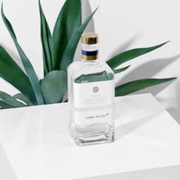 Branding For A Tequila Producer cover image