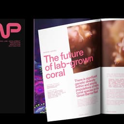 Identity Development For Coral Reef Restoration Initiative cover image