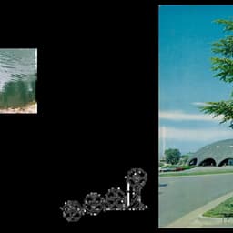 Innovative Visuals For Cut Copy's Music Journey cover image