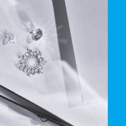 A Rebranding For A High-end Jewelry Company cover image