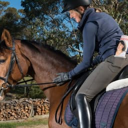 Typeface Development For A Versatile Typeface Family cover image