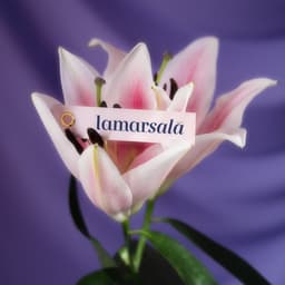 Illustration Project For A Feminist Artist cover image