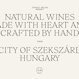 Identity And Label Design For A Natural Wine Maker cover image
