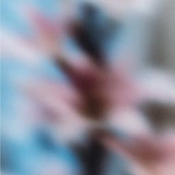 Brand Identity Design For An Eco-conscious Candle Company cover image