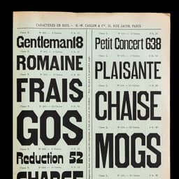 Brand Identity Evolution For An Outdoor Gear Company cover image