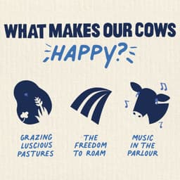 A Rebrand For A Disruptive Dairy Company cover image