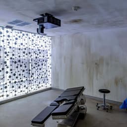 Bid(s) For Survival cover image