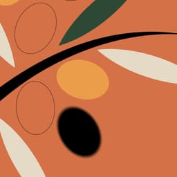 Motion Video For A Creative Typography Project cover image