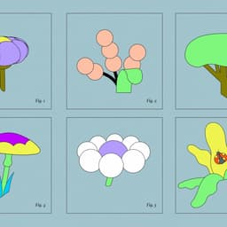 A Video Campaign For A Renowned Footwear Company cover image