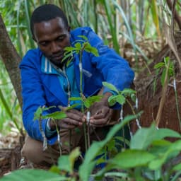 Nourishing The Identity Of A Historic Ngo cover image