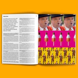 Editorial Design For A Swiss Media Organization cover image