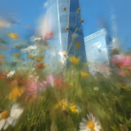 Brand Strategy And Identity For A Hair Loss Prevention Company cover image