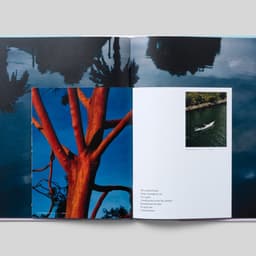 Brand Strategy And Identity Design For A Contemporary Collection Of Residences cover image