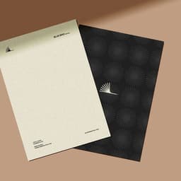 Blue Bird Mutual - Chong design work cover image