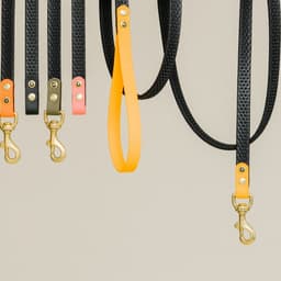 Branding For A High-quality Dog Care Products Company cover image