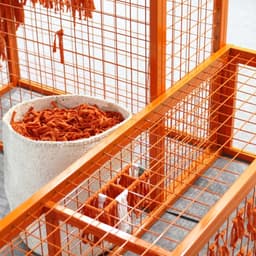 Concept And Identity For The World Design Capital Exhibition cover image