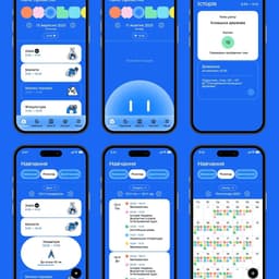 Mobile Application Design For A Government Educational Initiative cover image