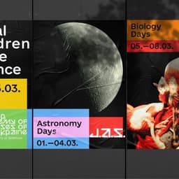 Identity Development For A Leading Educational Organization cover image