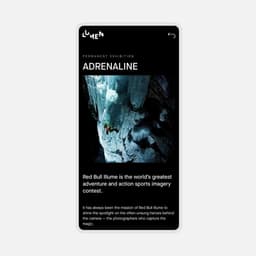 Website Design For A Mountain Photography Museum cover image