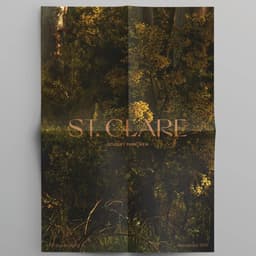 Brand Identity Creation For A First Nations Art Movement cover image