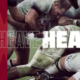 Brand Modernization For An Established Rugby Team cover image
