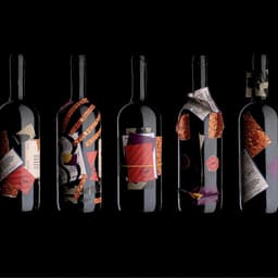 Packaging Design For A Red Wine Blend cover image