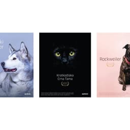 Campaign For A Leading Online Marketplace cover image