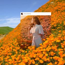 3d Animation For A Leading Window Solutions Manufacturer cover image