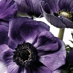 Branding A Deeper Music Experience For An Audio Company cover image