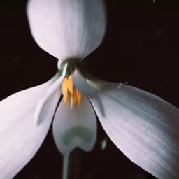 A Digital Brand Story For A Media Company cover image