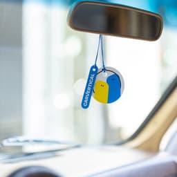 Branding System For A Car Data Platform cover image