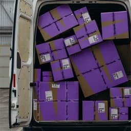 Branding System For The Fastest-growing Parcel Delivery Service cover image