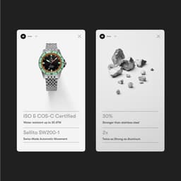 Dynamic Campaigns For A Luxury Watch Brand cover image