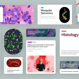 Visual Identity Transformation For A Medical Research Institute cover image