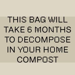 Leave Nothing Behind cover image