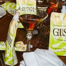 Brand Strategy For A New Party Essential cover image