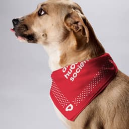 Brand Refresh For A Cherished Atlanta Nonprofit cover image