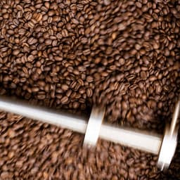 Photography Series For A Specialty Coffee Roaster cover image