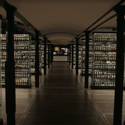 Digital Experience For A Vibrant Cultural Museum cover image