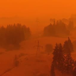 A Visual Identity For A Sports Sustainability Initiative cover image