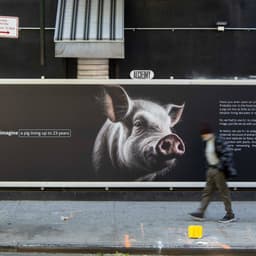 Ai-driven Redesign Of Farm Animal Life Expectancy cover image